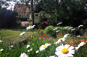 Gartenansicht von Sneglehus Ferienwohnung auf Bornholm